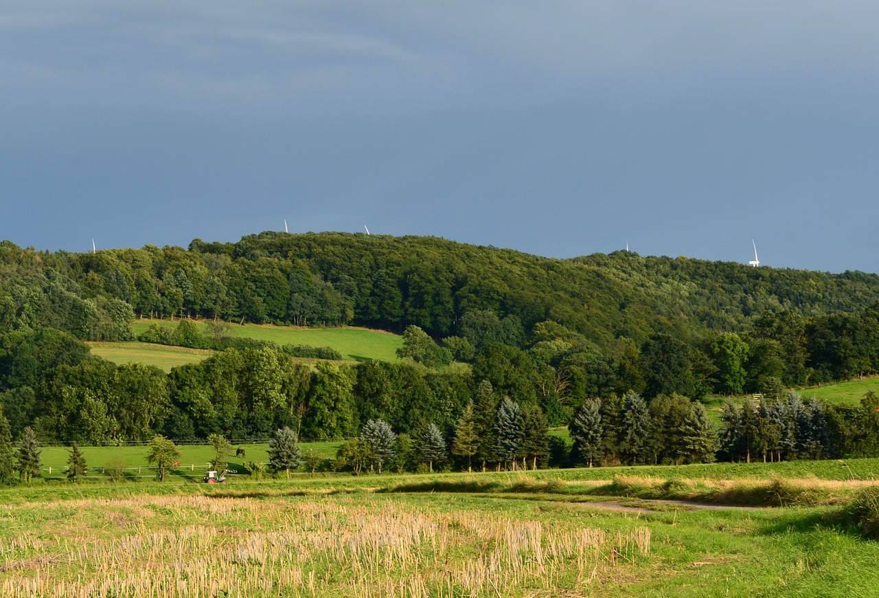 Eco-Friendly Fertilizers - Are They Worth the Investment?